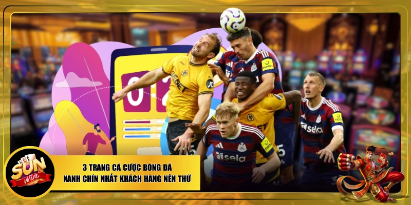trang cá cược bóng đá