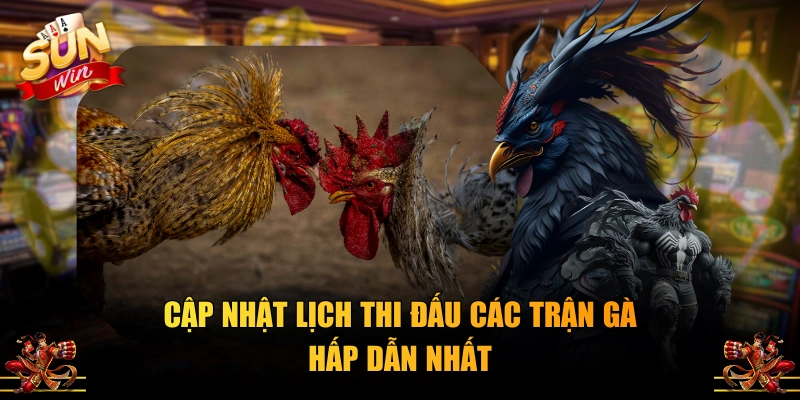 Cập nhật lịch thi đấu các trận gà hấp dẫn nhất