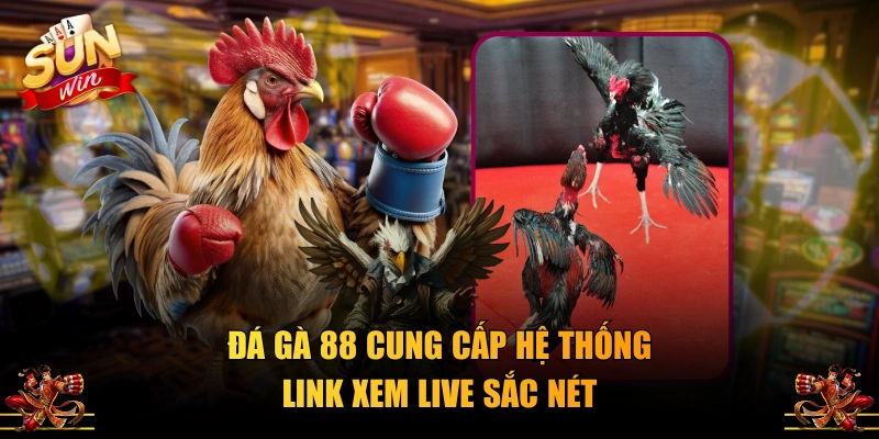Đá gà 88 cung cấp hệ thống link xem live sắc nét