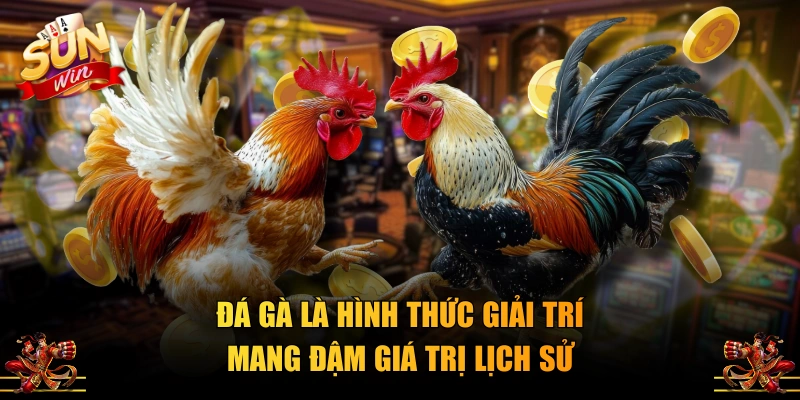 Đá gà là hình thức giải trí mang đậm giá trị lịch sử