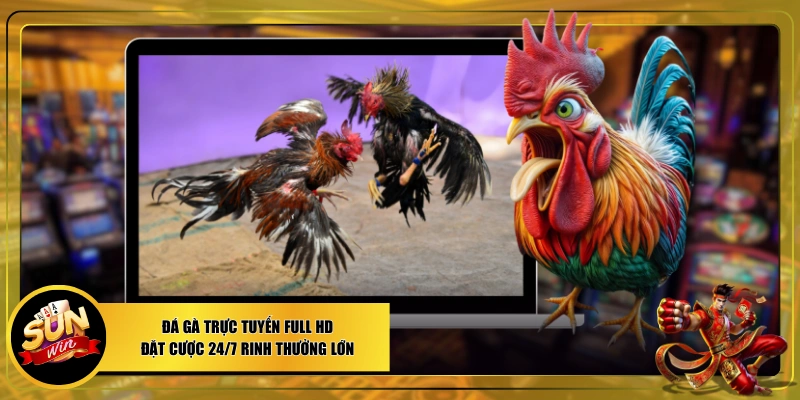 Đá gà trực tuyến