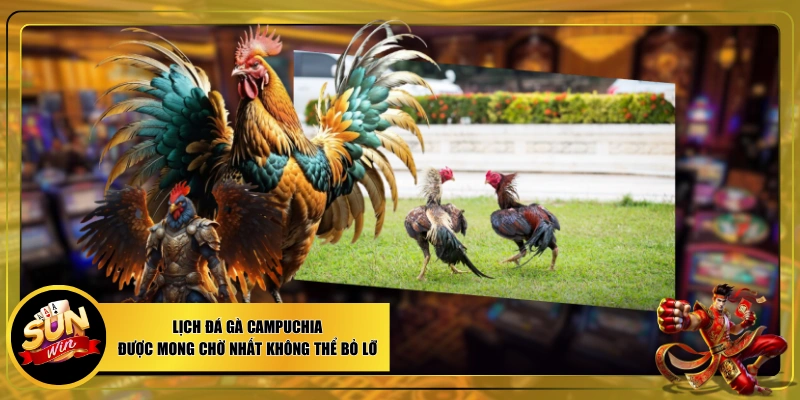 Đá gà Campuchia