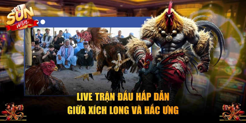 Live trận đấu hấp dẫn giữa Xích Long và Hắc Ưng