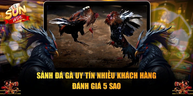 Sảnh đá gà uy tín nhiều khách hàng đánh giá 5 sao