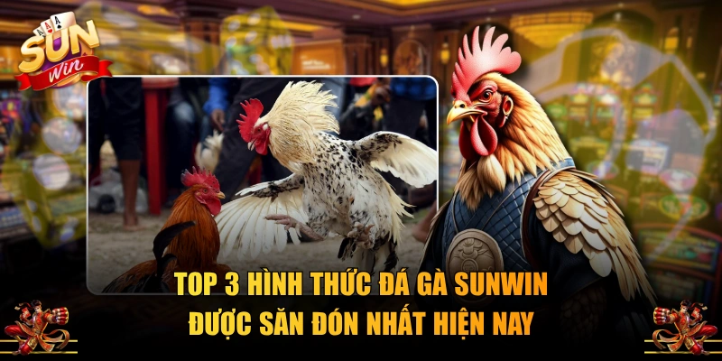Top 3 hình thức đá gà SUNWIN được săn đón nhất hiện nay