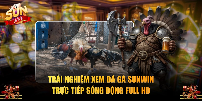 Trải nghiệm xem đá gà SUNWIN trực tiếp sống động Full HD